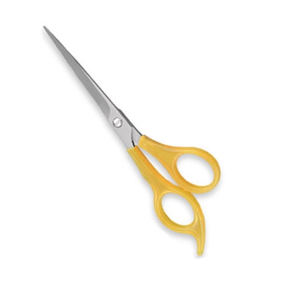 Household Scissor